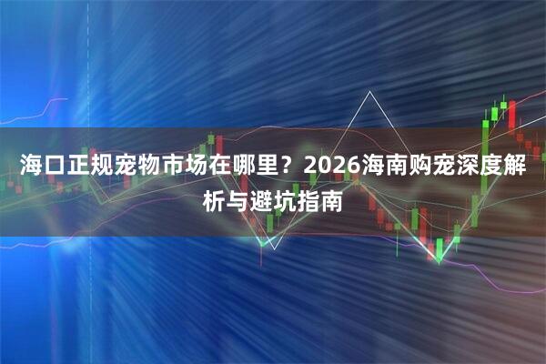 海口正规宠物市场在哪里？2026海南购宠深度解析与避坑指南