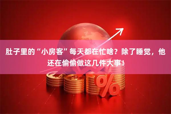 肚子里的“小房客”每天都在忙啥？除了睡觉，他还在偷偷做这几件大事！